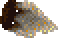 Old tooth