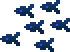 Pirahna