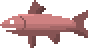 Raw Trout