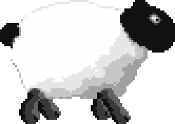 Sheep
