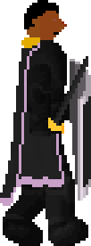 Void Knight