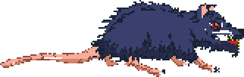 Rat