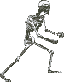 skeleton mage