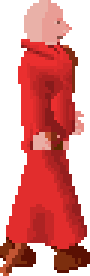 Warrior of Zamorak