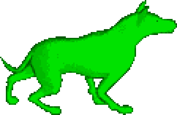Nature Wolf